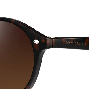 solde en ligne Waykins Lunettes De Soleil écaille Marron Wade Wally 14